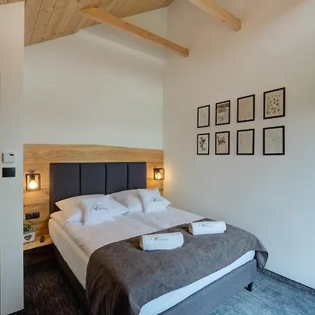Apartment Dom Pod Przelecza Krynica-Zdrój