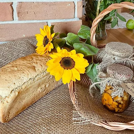 Dom Pod Przelecza Krynica-Zdrój