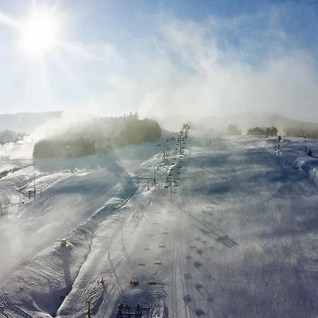 Dom Pod Przelecza Apartment Krynica-Zdrój